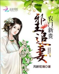 农门新贵:邪王追妻风