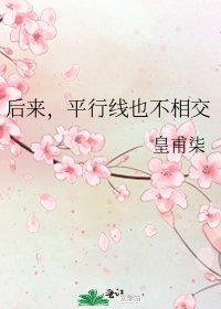後來,平行線也不相交